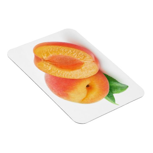 Aprikosen kürzen magnet (Rechte Seite)