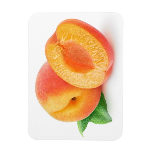 Aprikosen kürzen magnet (Vertikal)