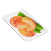 Aprikosen kürzen magnet (Rechte Seite)