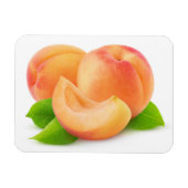 Aprikosen kürzen magnet (Horizontal)