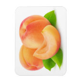 Aprikosen kürzen magnet (Vertikal)