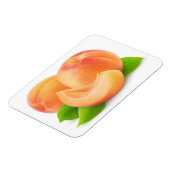 Aprikosen kürzen magnet (Linke Seite)