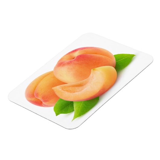 Aprikosen kürzen magnet (Linke Seite)