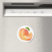 Aprikosen kürzen magnet (In Situ (Geschirrspüler))