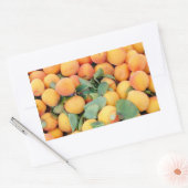 Aprikosen Rechteckiger Aufkleber (Umschlag)