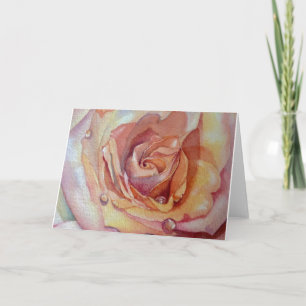 Aprikosen-Rosen-Gruß-Karte, weiße Umschläge Karte
