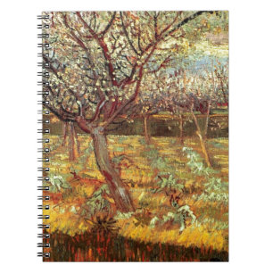 Aprikosenbaum in Blossom von Van Gogh Notizblock