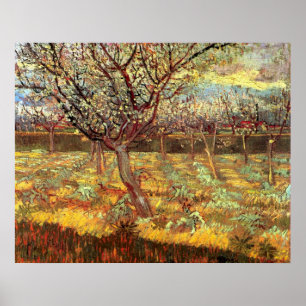 Aprikosenbäume in Blüte von Vincent van Gogh Poster