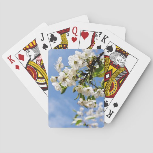 Aprikosenblüte. Spielkarten (Rückseite)