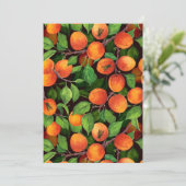 Aprikosengarten 1 (Stehend Vorderseite)