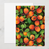 Aprikosengarten 1 (Vorne/Hinten)