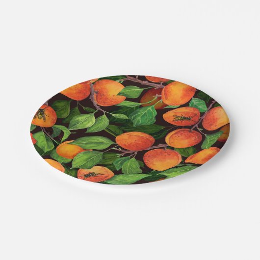 Aprikosengarten 1 pappteller (Schrägansicht)