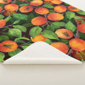 Aprikosengarten 1 sherpadecke (3/4)