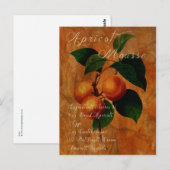 Aprikosenmousse Postkarte (Vorne/Hinten)