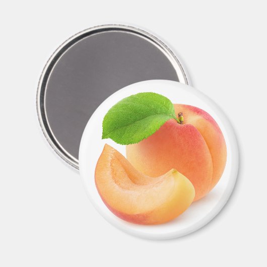 Aprikosenobst Magnet (Vorderseite/Rückseite)
