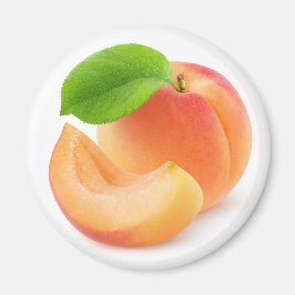 Aprikosenobst Magnet