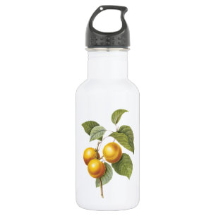 Aprikosenpfirsich (Prunus sp.) von Redouté Edelstahlflasche