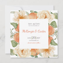 Aprikosenplantage Botanisch Save the Date