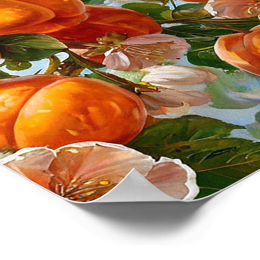 Aprikosenwasserfarbe Poster (Ecke)