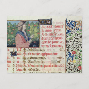 April: Auswahl von Blume Postkarte