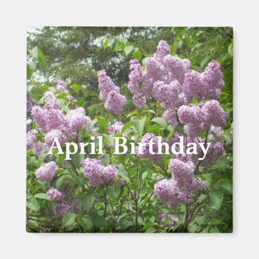 April Birthday-Lovely Lilac Bush Magnet (Vorne)