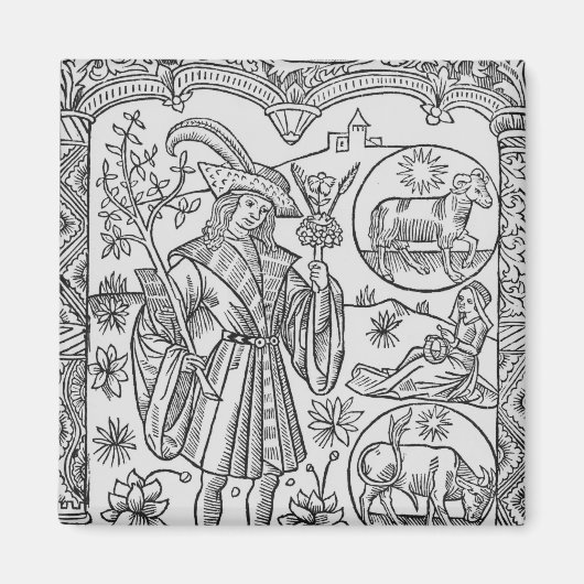 April, Blume, Aries Magnet (Vorne)