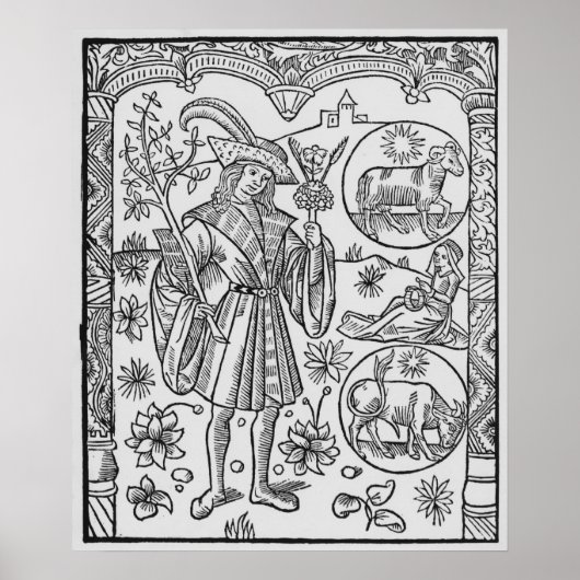 April, Blume, Aries Poster (Vorne)