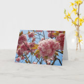 April Blüten [Grußkarte] Karte (Gelbe Blume)