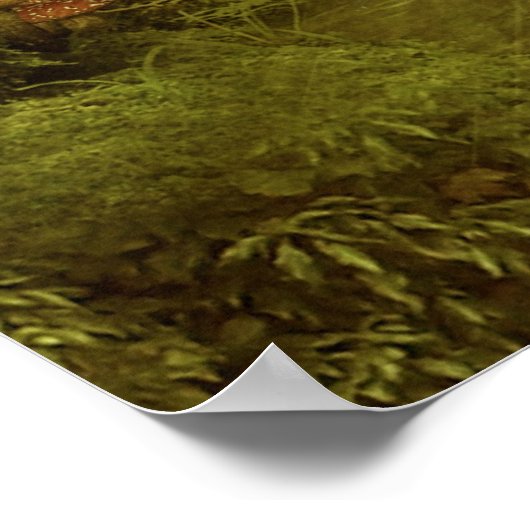 April-Duschen Poster (Ecke)