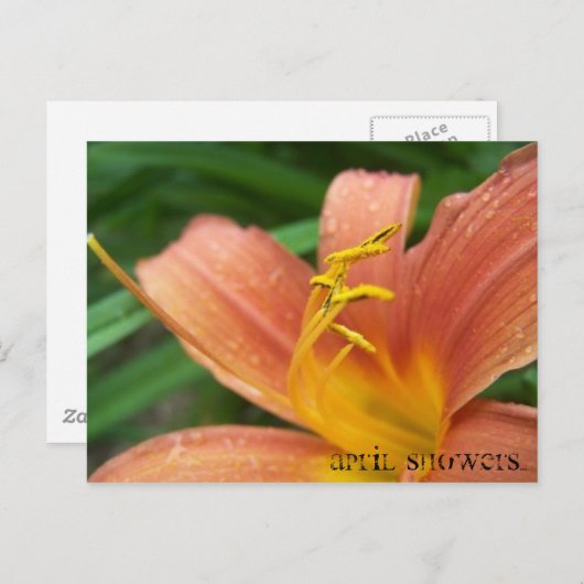 April Duschen Postkarte (Vorne/Hinten)
