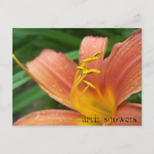 April Duschen Postkarte