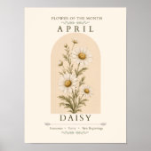 April-Geburtsblume Gänseblümchen Poster (Vorne)