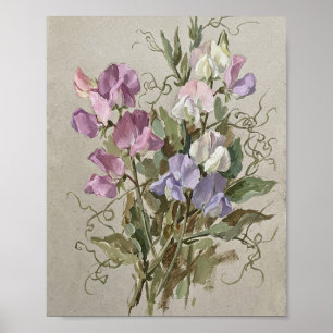 April-Geburtsblume Süße Erbse I Poster