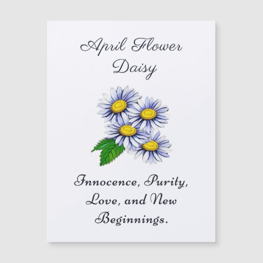 April Geburtsmonat Blume Daisy Fresh Magnetkarte (Vorderseite)