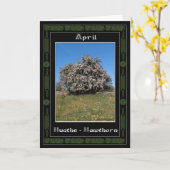 April Geburtstag Celtic Oracle Divination Karte (Gelbe Blume)