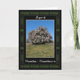 April Geburtstag Celtic Oracle Divination Karte