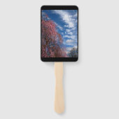 April Himmel mit den Philippinen 4:4 Fächer (Rückseite)