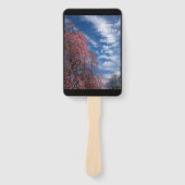 April Himmel mit den Philippinen 4:4 Fächer (Vorderseite)