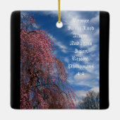 April Himmel mit den Philippinen 4:4 Keramikornament (Rückseite)