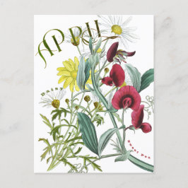 April Monat Blume Sweet Pea Daisy Extravagant Postkarte