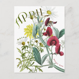 April Monat Blume Sweet Pea Daisy Extravagant Postkarte