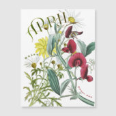 April Month Flowers Sweet Pea Daisy Fancy Magnetkarte (Vorderseite)