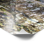 April Morning Fotodruck (Ecke)