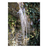 April Morning Fotodruck (Vorne)