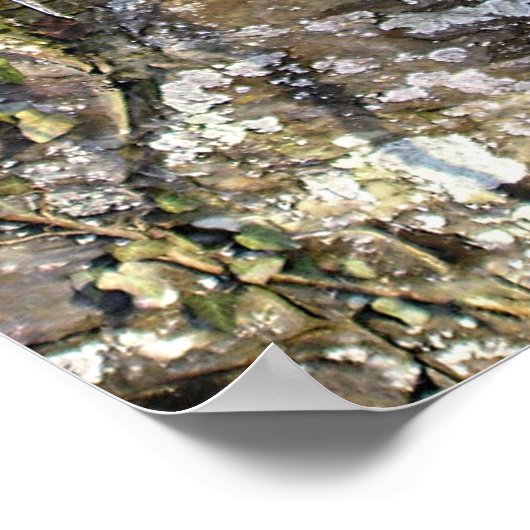 April Morning Poster (Ecke)