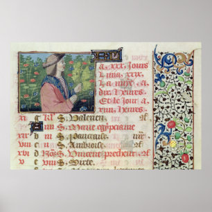 April: Sammeln-Blumen Poster