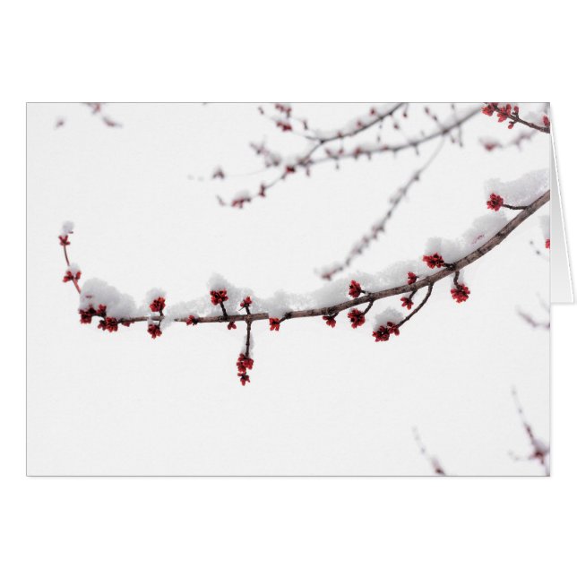 April-Schnee-leere Karte (Vorderseite (Horizontal))