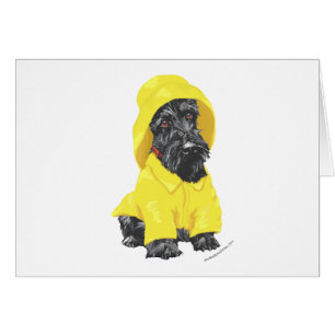 April Showers Scottish Terrier