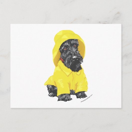 April Showers Scottish Terrier Postkarte (Vorderseite)