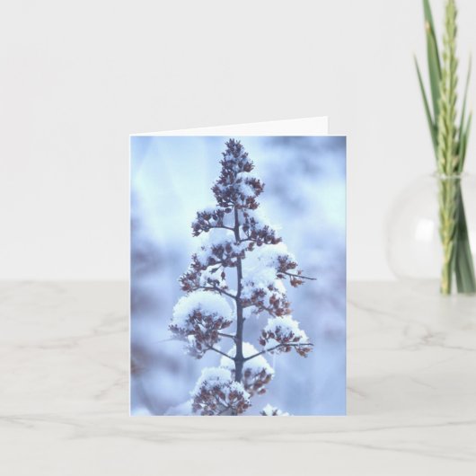 April Snow Karte (Vorderseite)